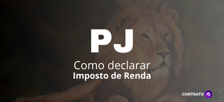 PJ - Como declarar Imposto de Renda (na pessoa física)