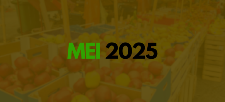 MEI 2025 - nota fiscal, contribuição, limite de faturamento e mudanças